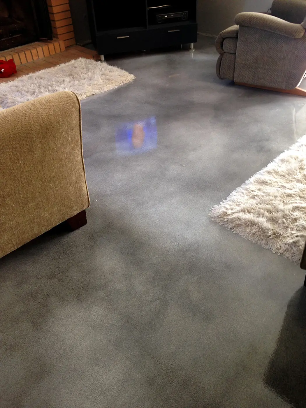Gray stained concrete living room floor with a cream rug