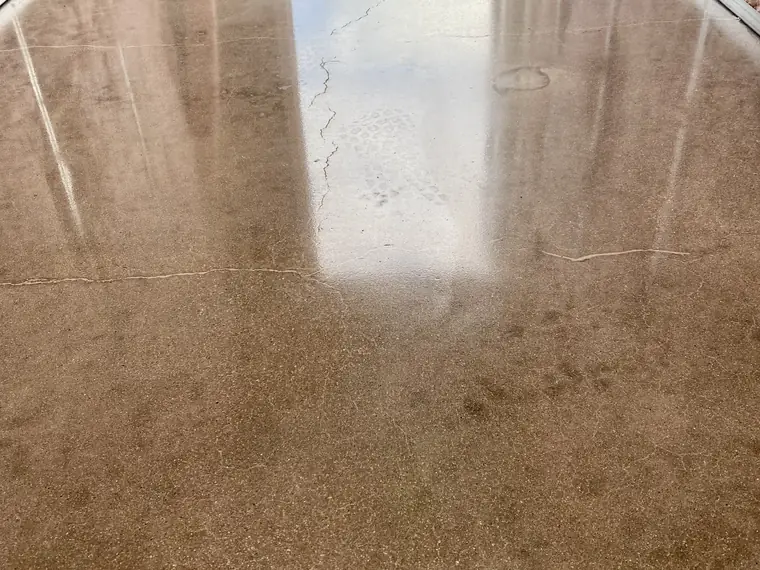 Polished concrete floor in warm gray with light reflections