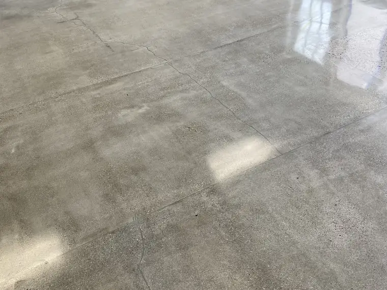 Polished gray concrete floor with the original slab joints showing through