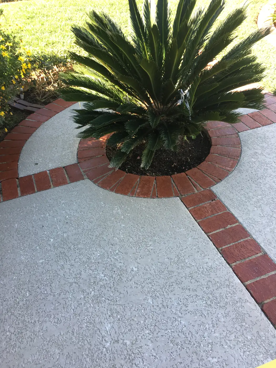 Gray textured deck with red brick banding around a palm planter