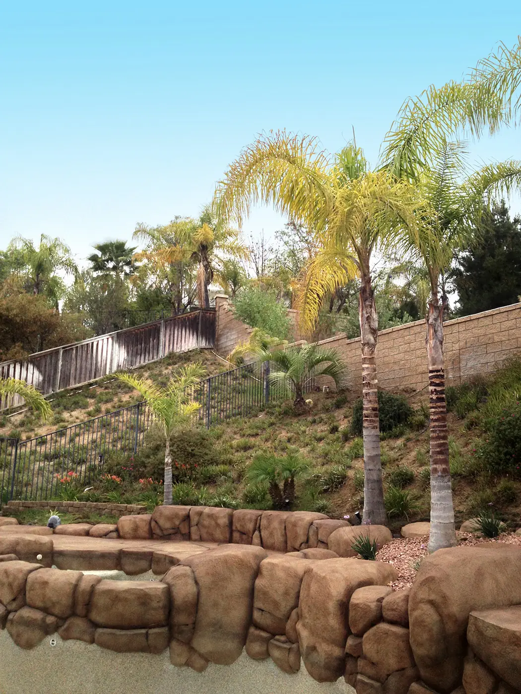 Restained rock retaining wall behind palms and desert planting