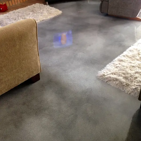 Gray stained concrete living room floor with a cream rug