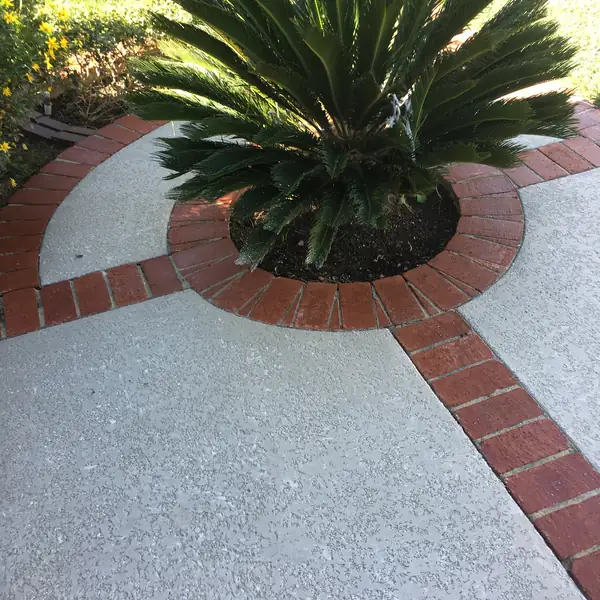 Gray textured deck with red brick banding around a palm planter