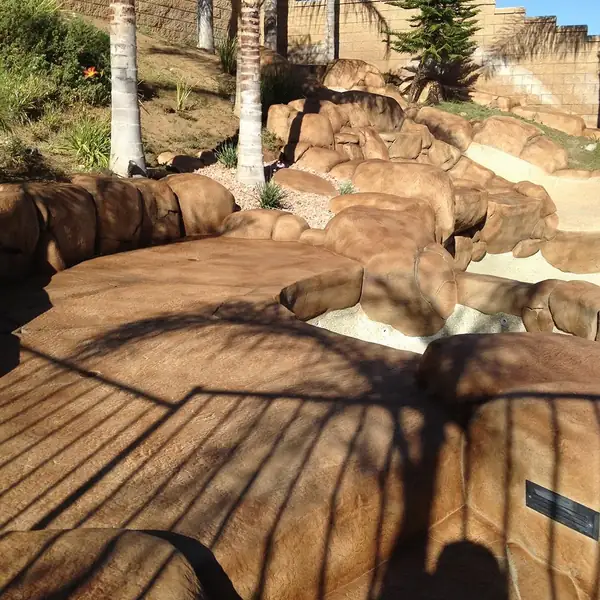 Restained boulder landscape around a pool with palm shadows