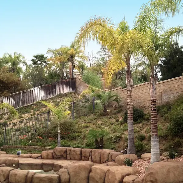 Restained rock retaining wall stepping up a planted hillside