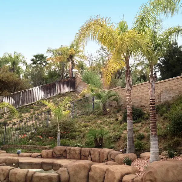 Restained rock retaining wall behind palms and desert planting